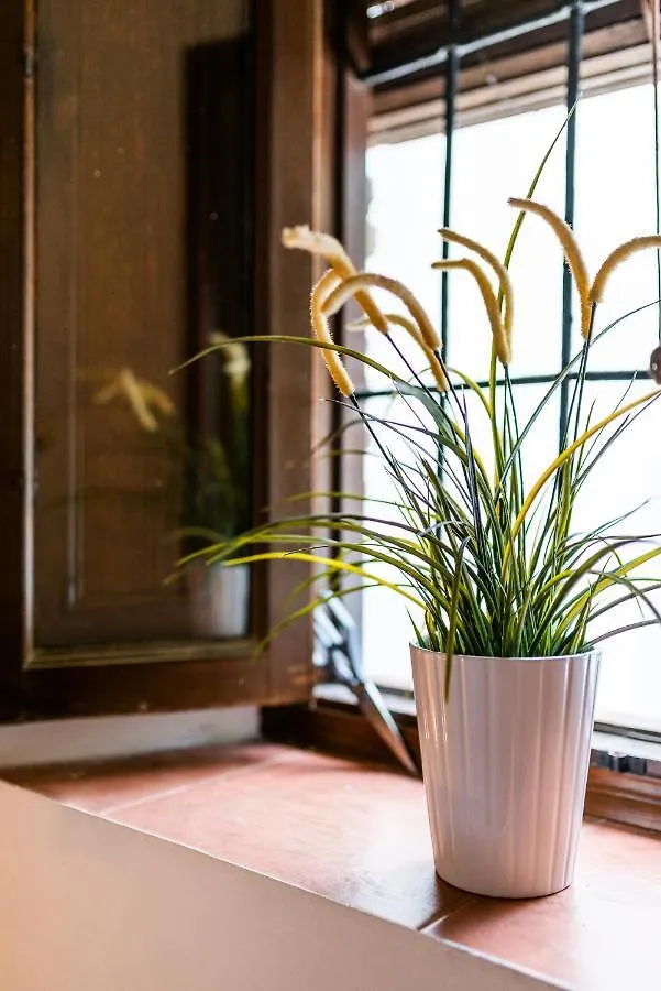 Home4U Casa Del Tesoro I غرناطة