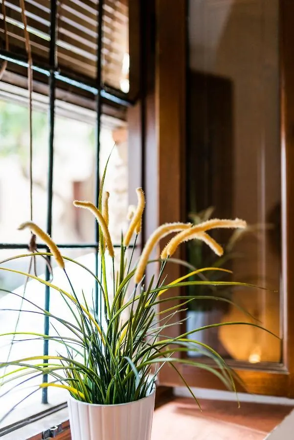 Home4U Casa Del Tesoro I غرناطة 0*,
